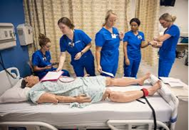 Diploma in Nursing